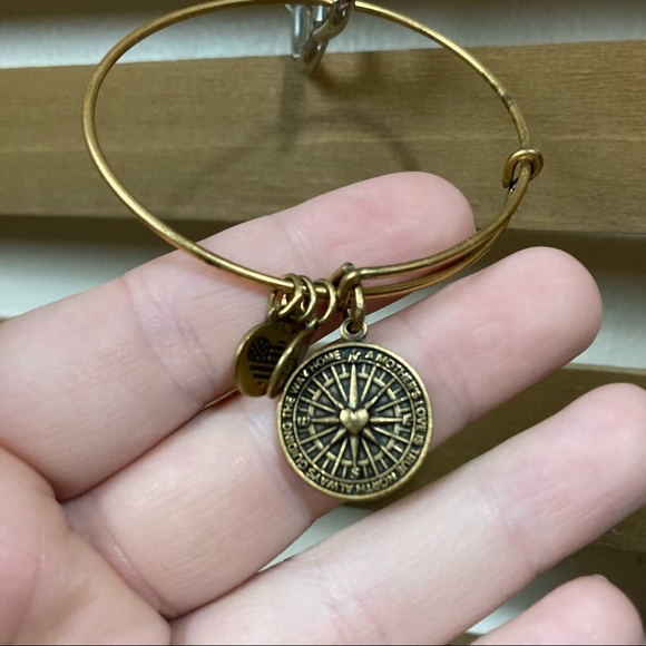 Alex and Ani True Direction Rafaelian Bangle Bracelet - Picture 3 of 4